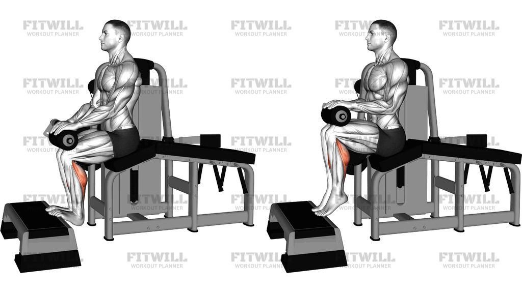 Lever Lying Leg Curl Calf Raise
