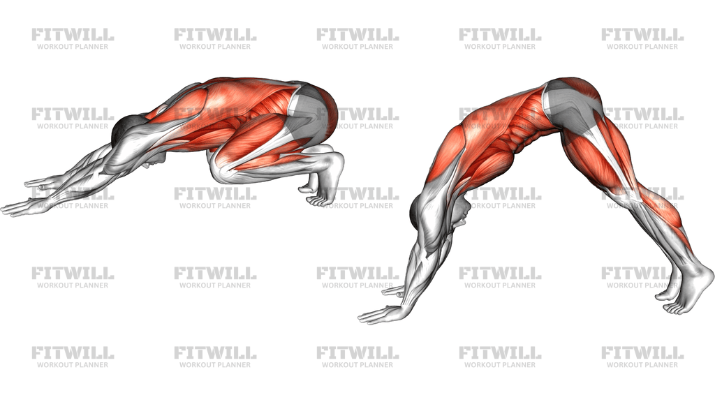 Child To Downward Dog To Body Rock