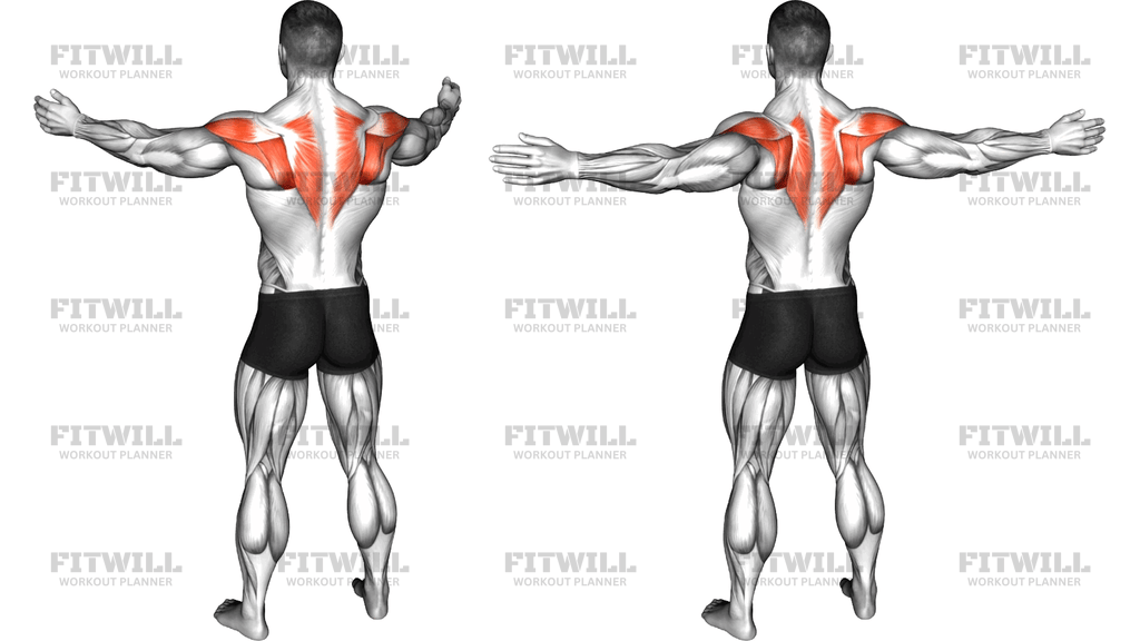 Standing Back Squeeze
