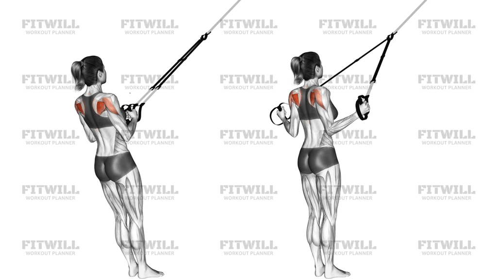Suspension Shoulder External Rotation
