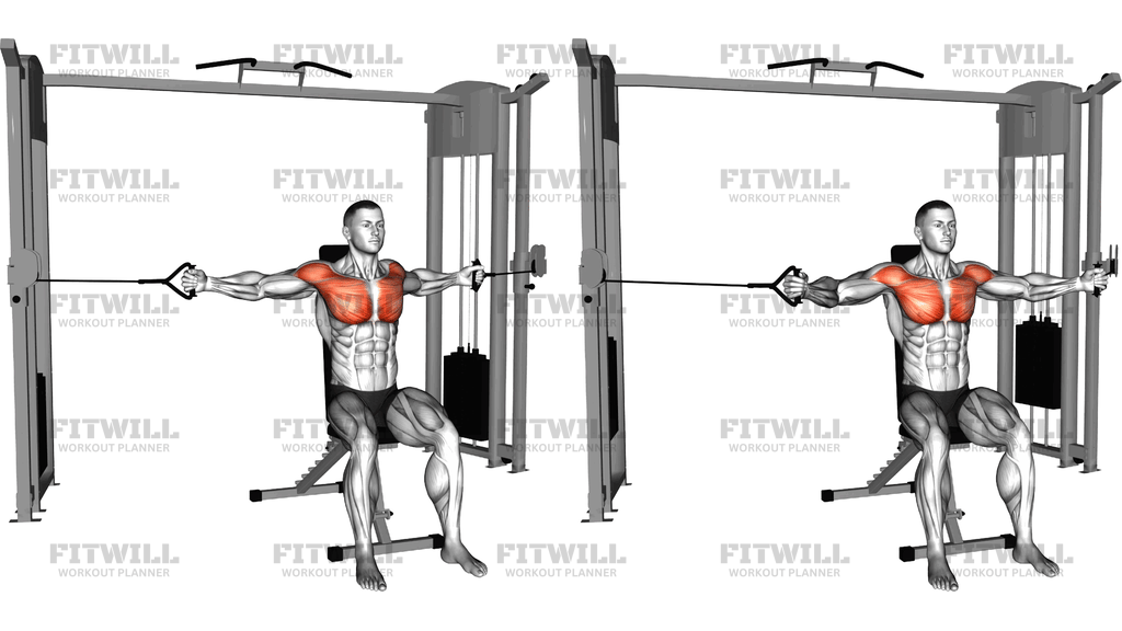 Cable Seated Chest Half Fly