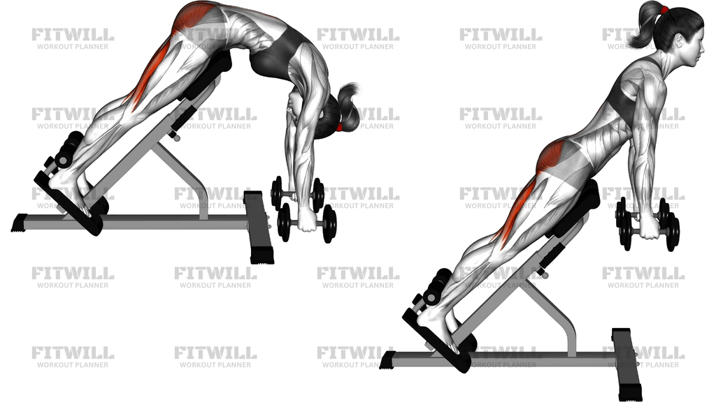 Dumbbell Hyperextension (Version 2)