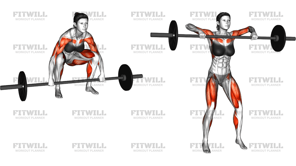 Barbell Hang Snatch