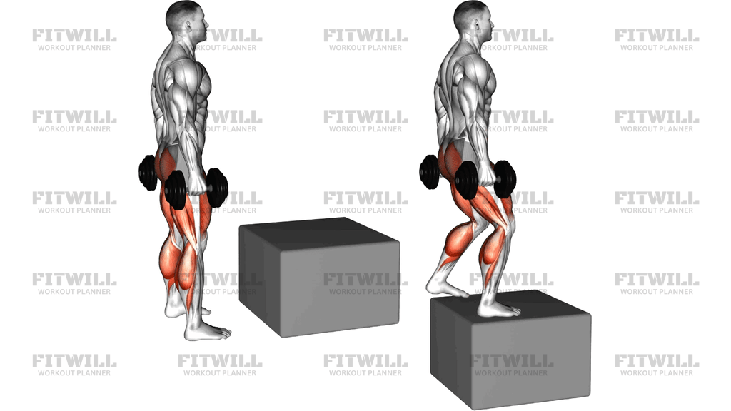 Dumbbell Jump Box
