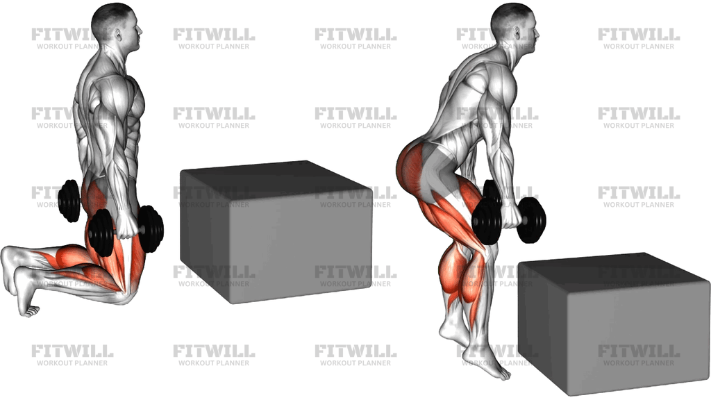 Dumbbell Kneeling To Jump Box