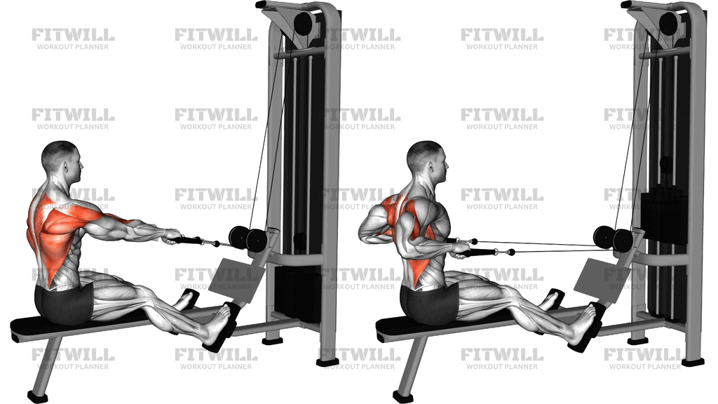 Cable Dual Handle Elbows Out Row