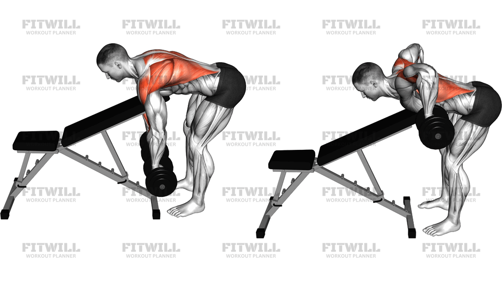 Dumbbell Chest Supported Row