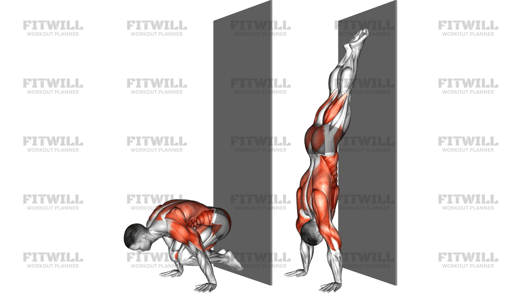 Wall Assisted Handstand To Tuck Planche Negative