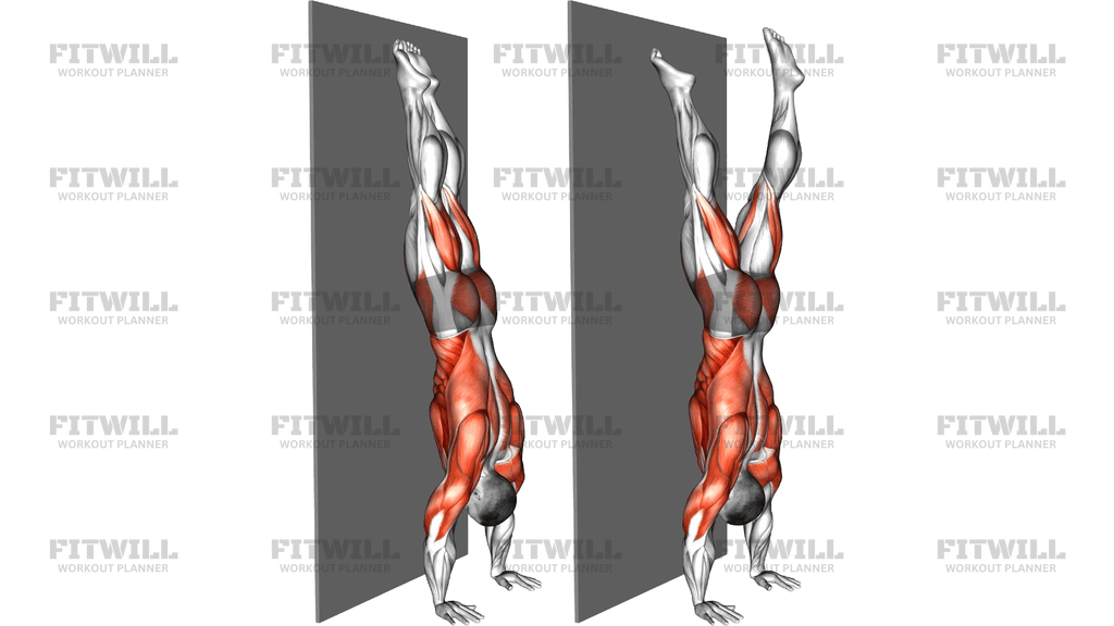Wall Facing Single Leg Split Handstand Hold