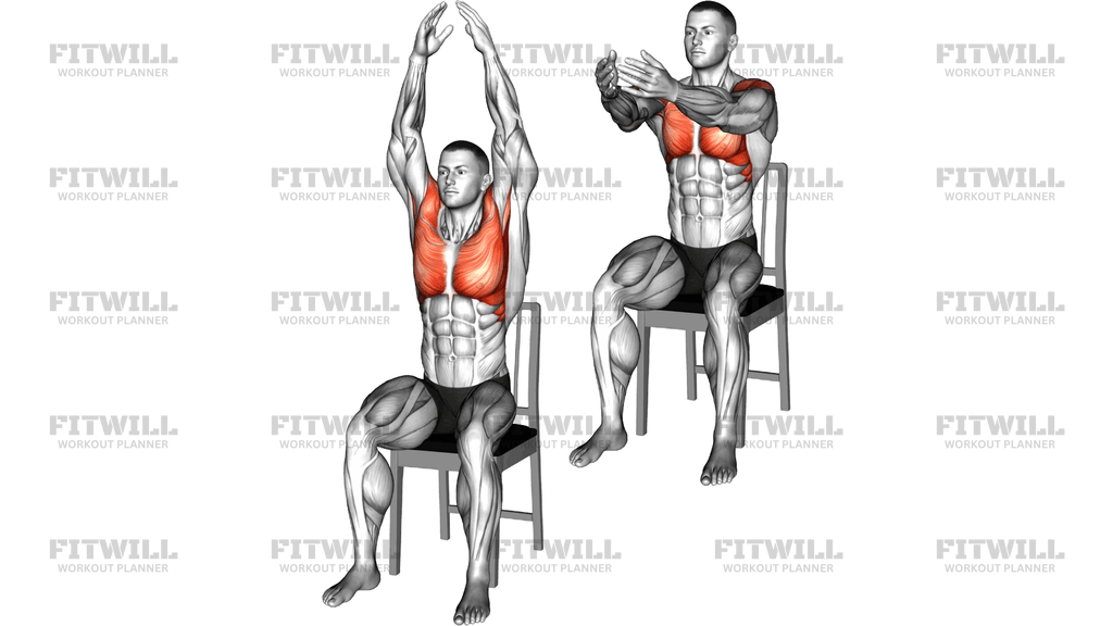 Seated Arms Rotation On Chair