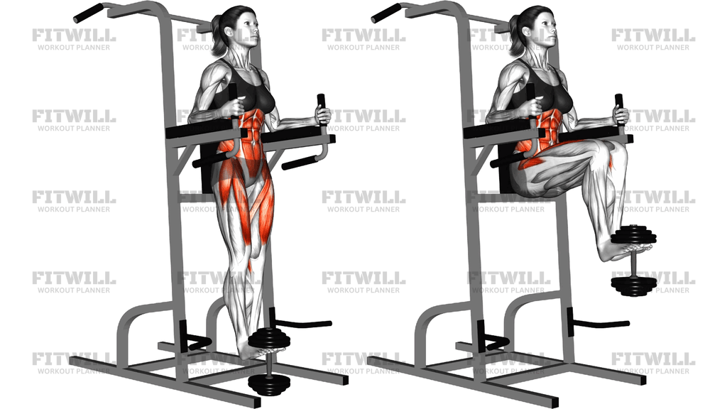 Weighted Captains Chair Leg Raise