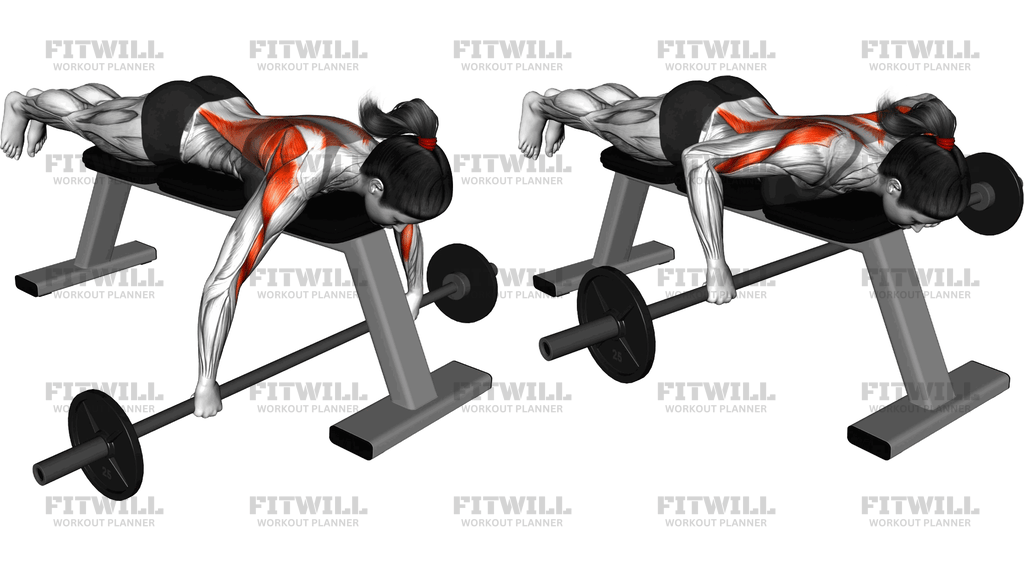 Barbell Lying Row