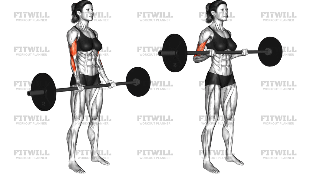 Barbell Drag Curl (Version 2)