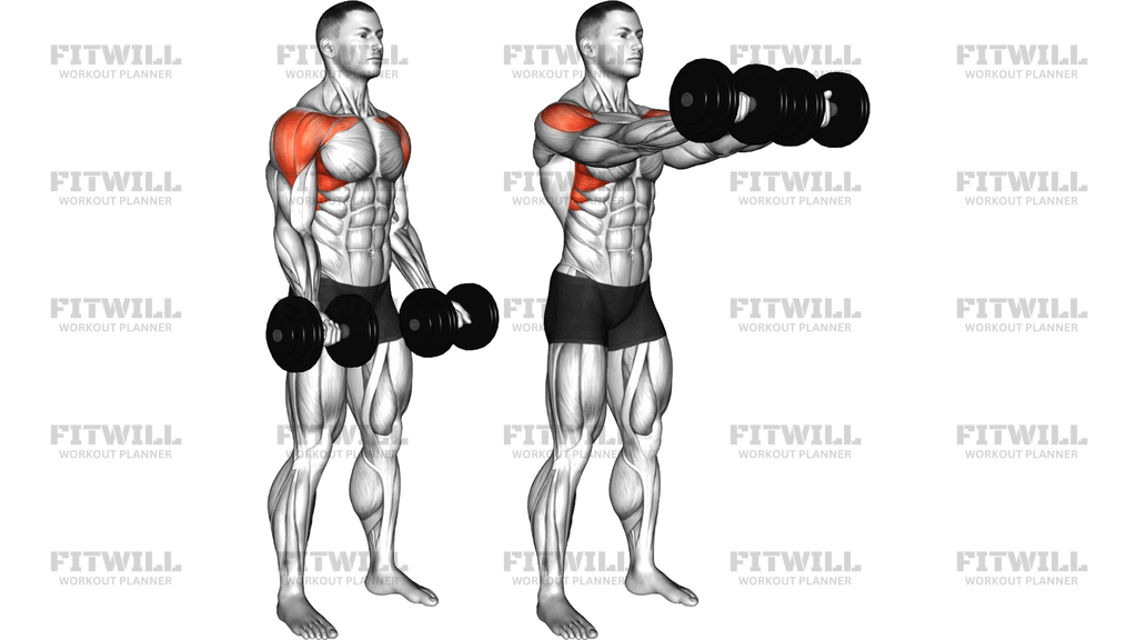 Dumbbell Underhand Front Raise