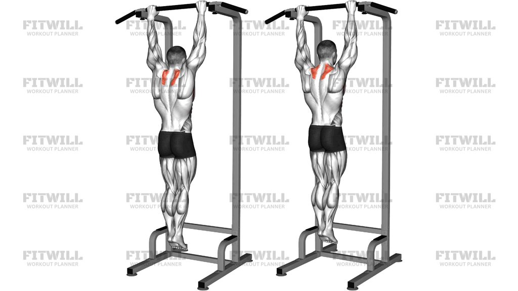 Scapular Pull Up (Version 2)