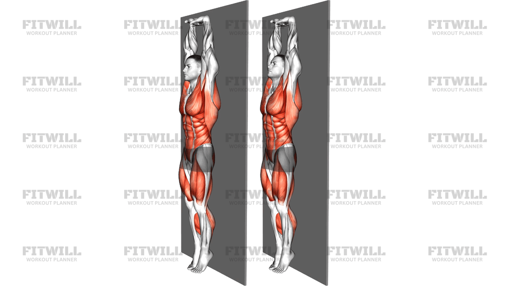 Wall Hold