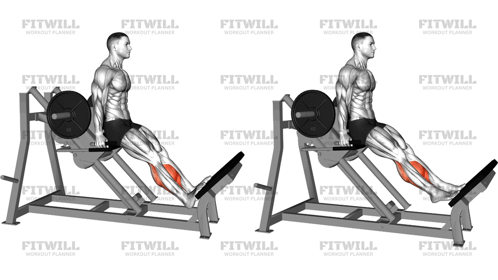 Lever Linear Calf Raise