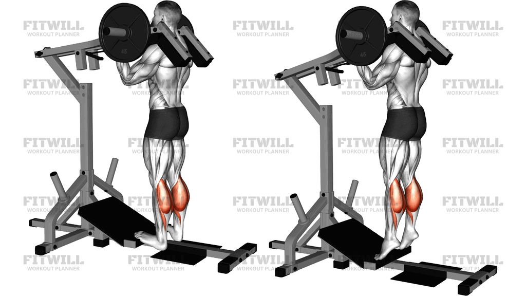 Lever Standing Calf Raise (Plate Loaded)