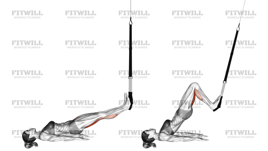 Suspension Straight Hip Leg Curl