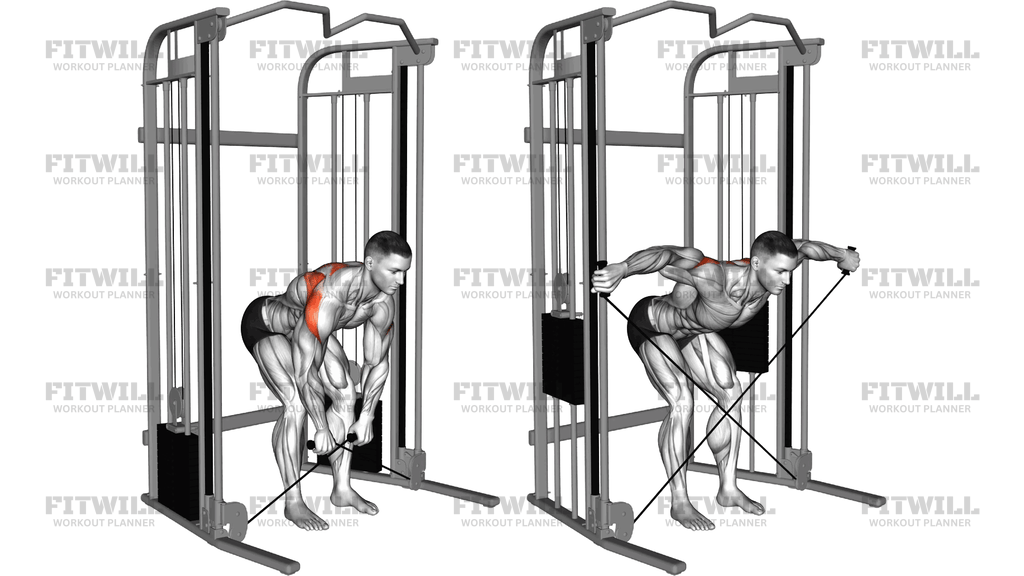 Cable Bent Over Overhand Grip Rear Delt Fly