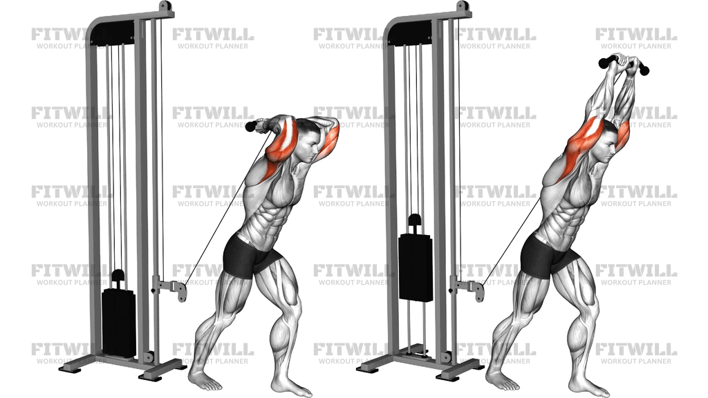 Tricep Extenzia Na Kladke Nad Hlavou So SZ Tyčou