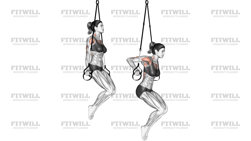 Suspension Triceps Dip