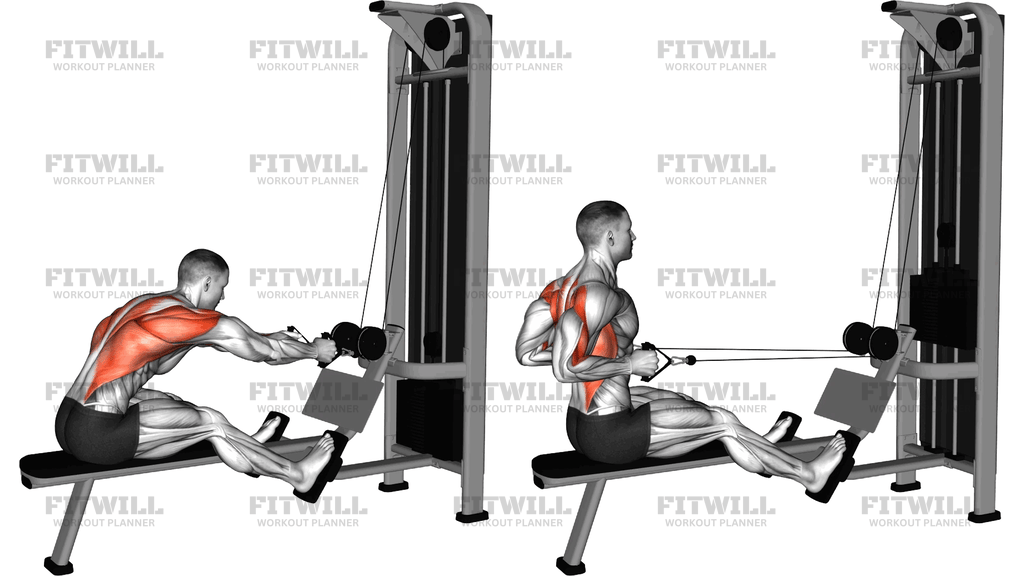 Cable Dual Handle Seated Neutral Grip Row