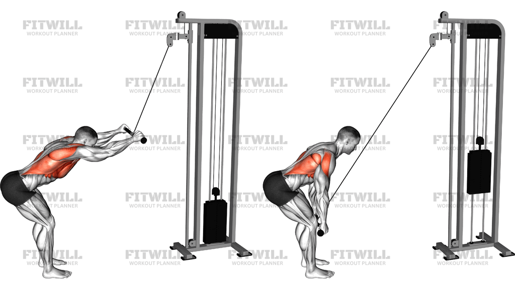 Cable Straight Arm Pulldown (Sz Bar)