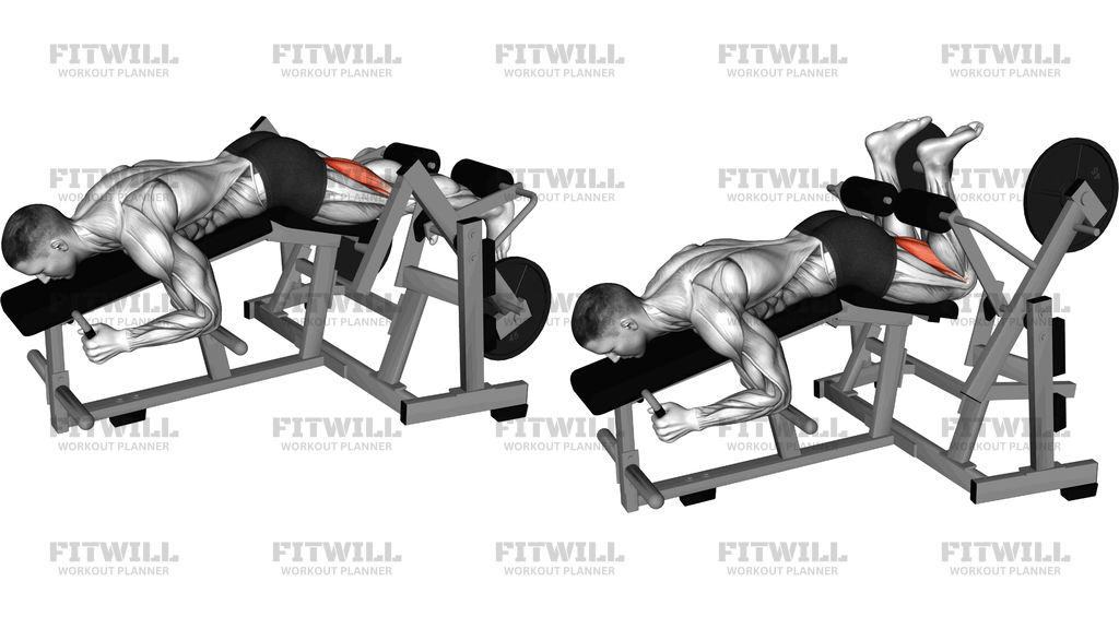 Lever Lying Leg Curl (Plate Loaded)