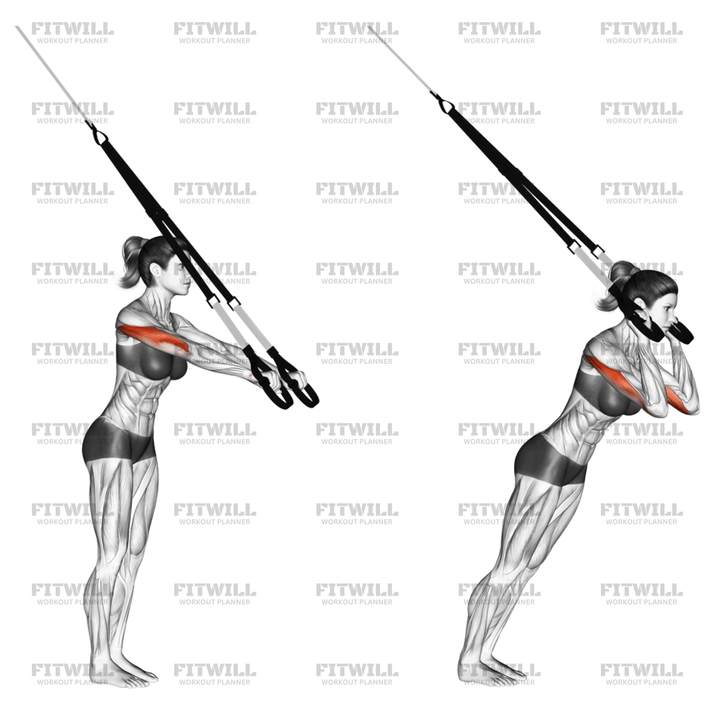 Suspension trainer triceps extension sale