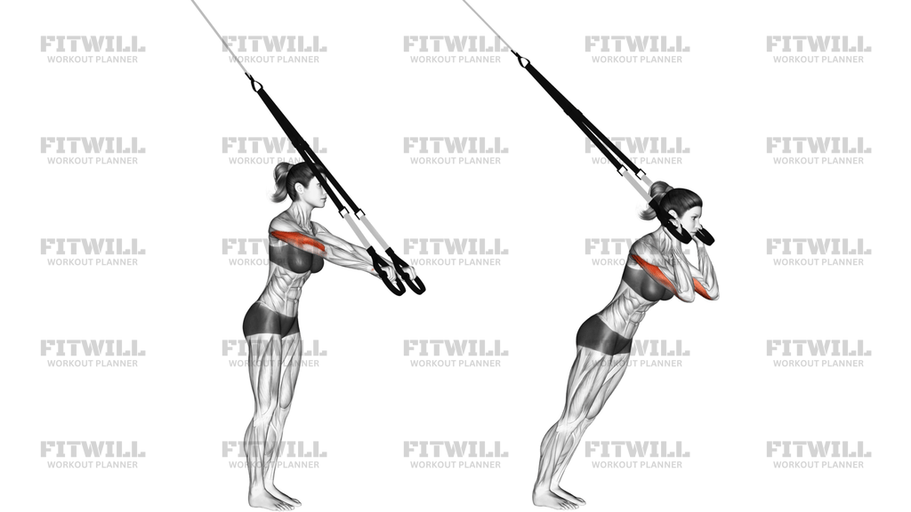 Suspension Triceps Extension