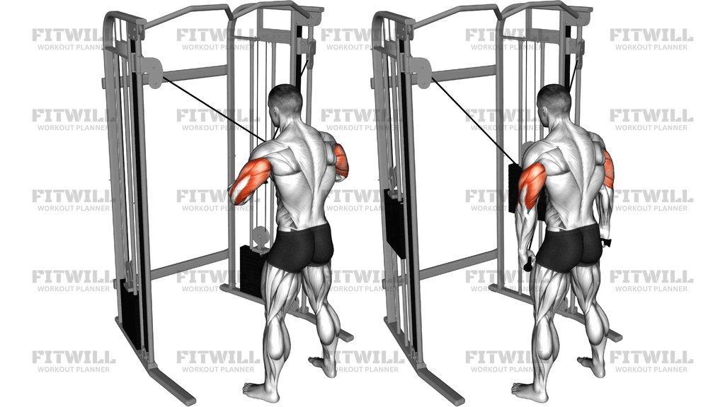Cable Standing High Cross Neutral Grip Triceps Ex