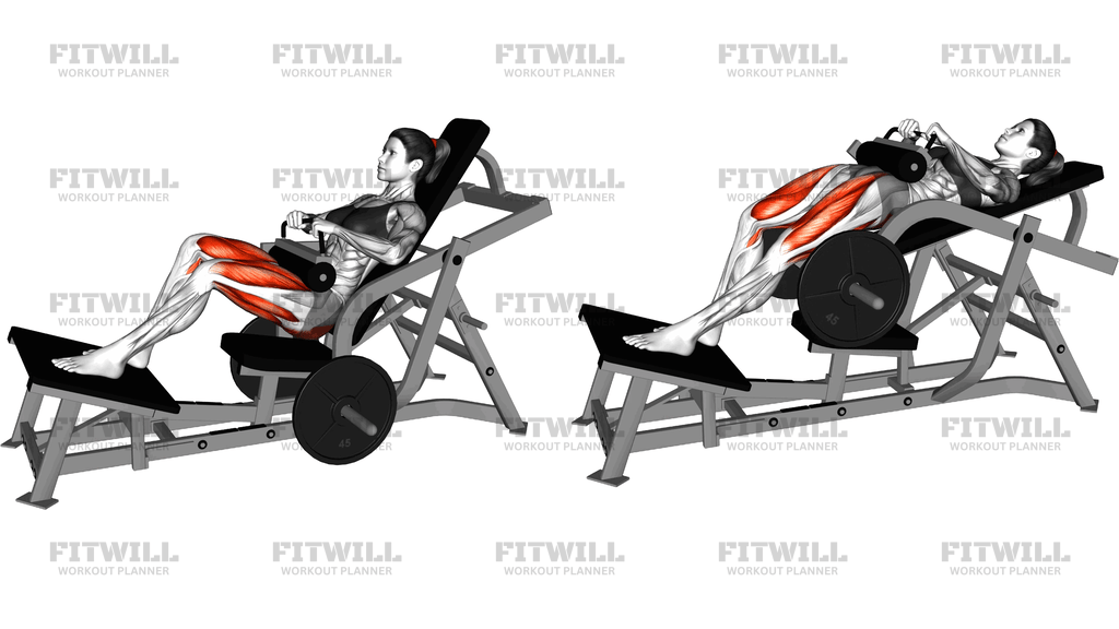 Lever Stagged Stance Hip Thrust (Plate Loaded)
