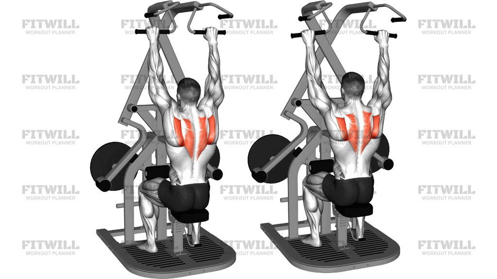Lever Seated Scapular Retraction (Plate Loaded)
