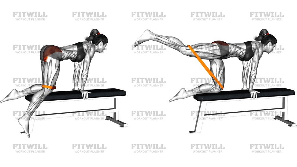 Resistance Band Kneeling Leg Kickback On Bench
