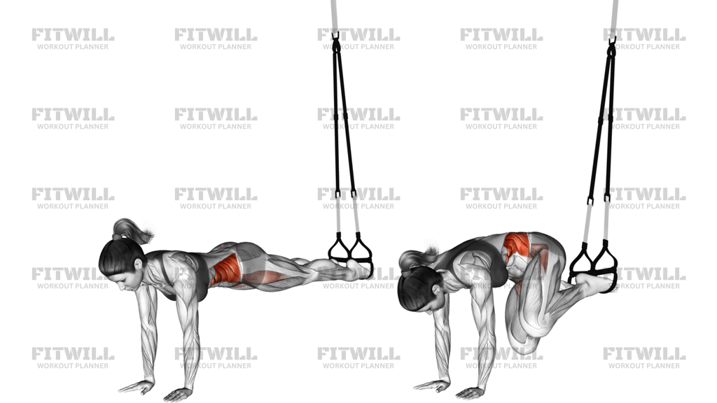 Suspension Twisting Jack Knife