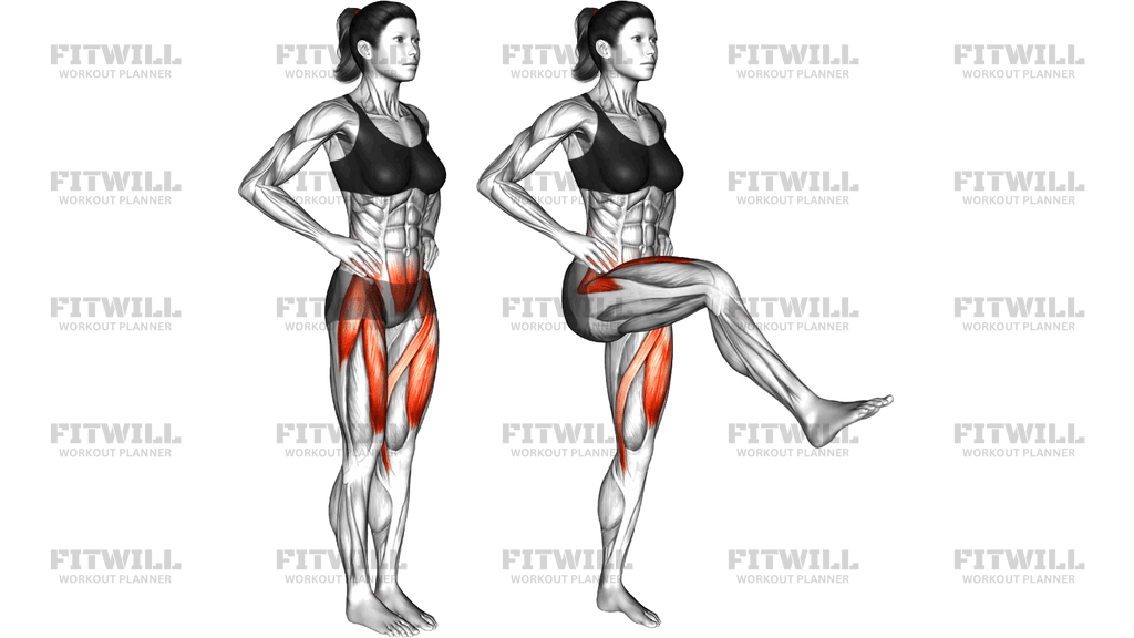 Standing Alternating Knee Extension