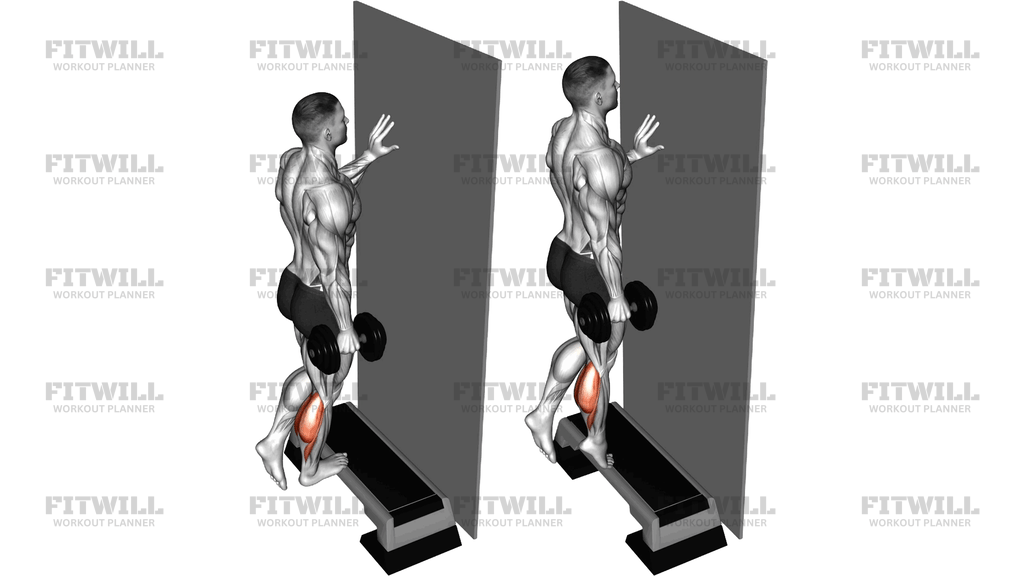 Dumbbell Single Leg Calf Raise Off Step