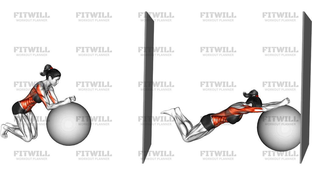 Stability Ball Kneeling Rollout To Wall