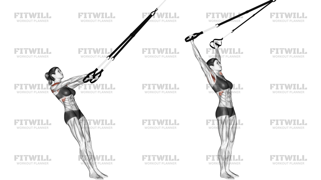 Suspension Y Lateral Raise
