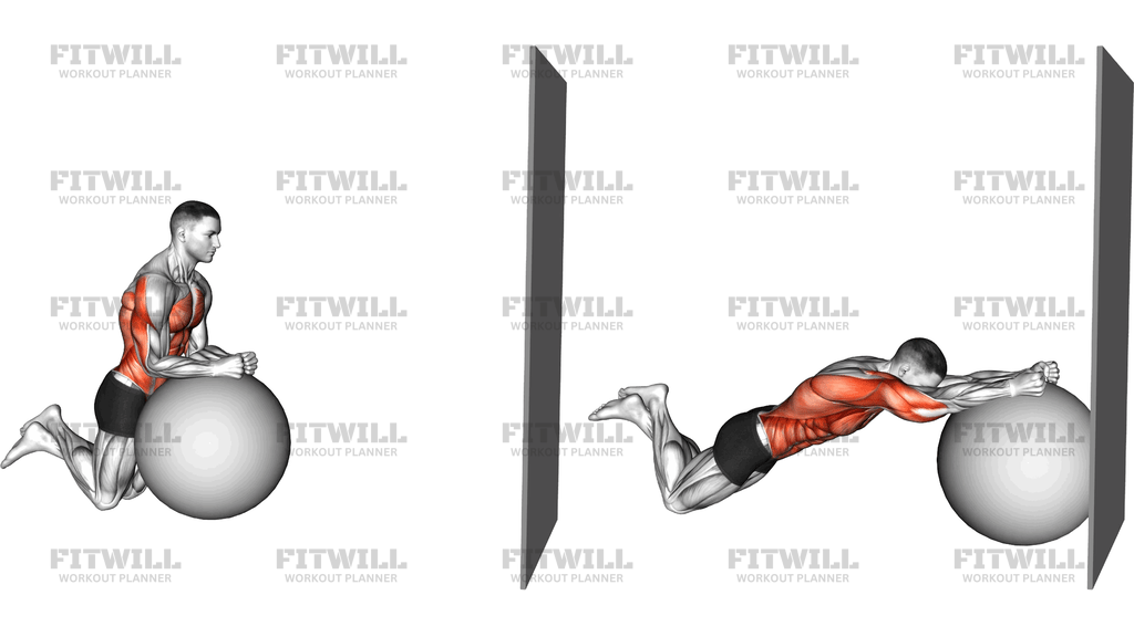 Stability Ball Kneeling Rollout To Wall
