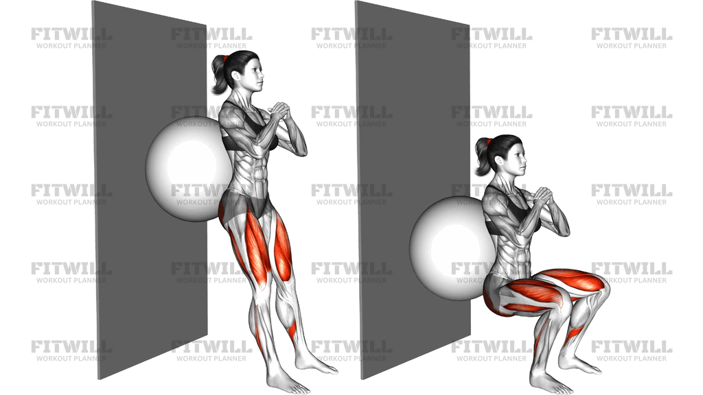 Exercise Ball Wall Squat