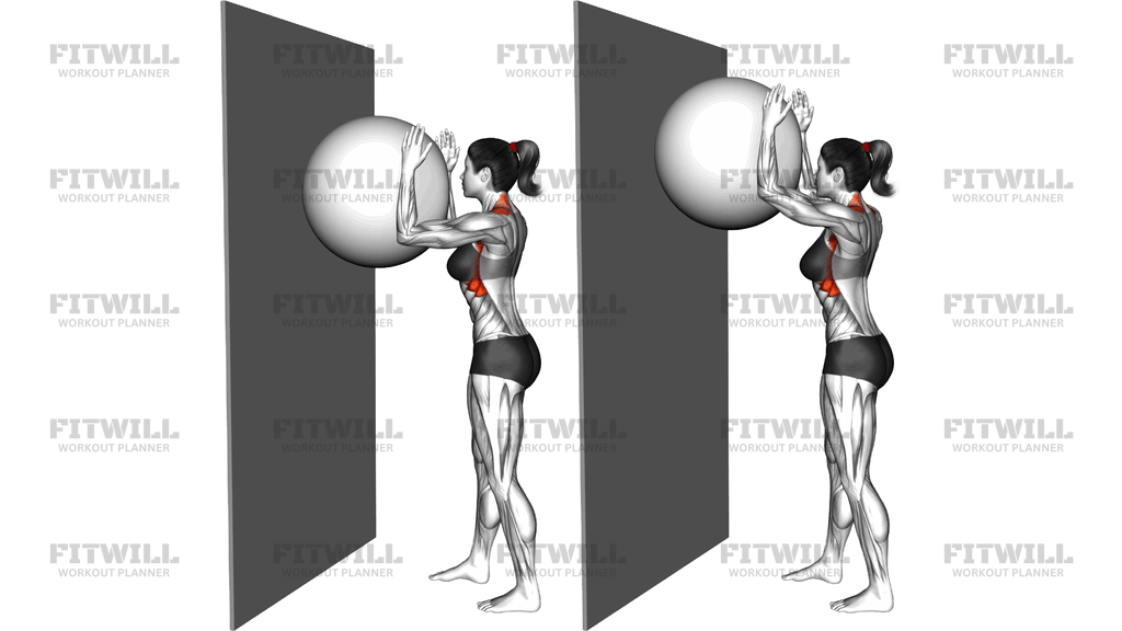 Fitneszlabdás Serratus Fali Csúszás