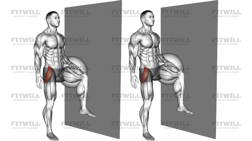 Standing Gluteus Medius Press Against Ball