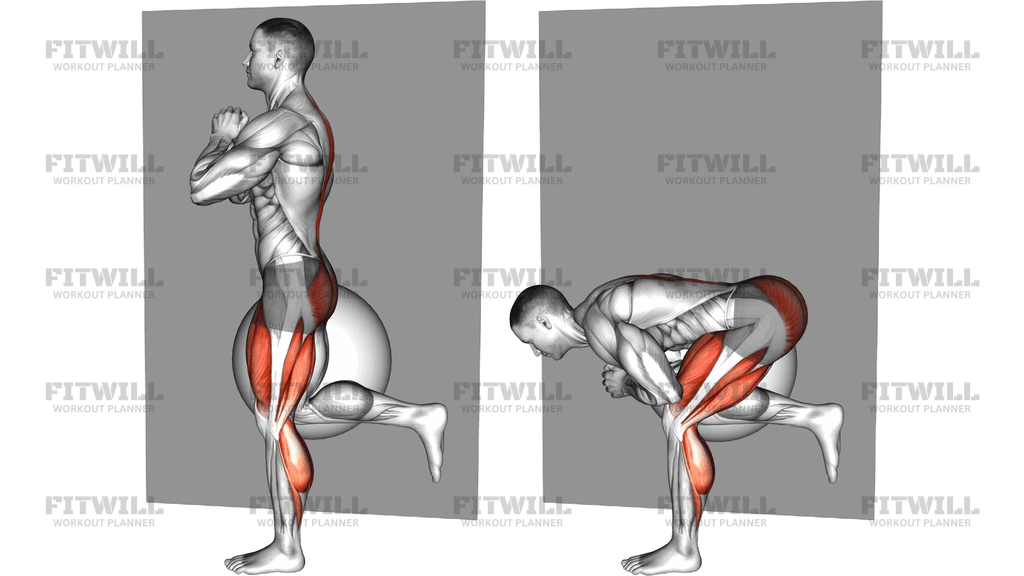 Bodyweight Single Leg Deadlift Against Ball