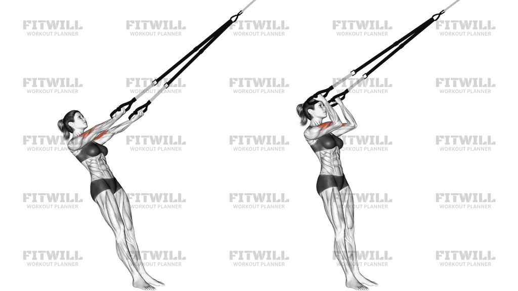 Suspension Arm Curl-to-Ears