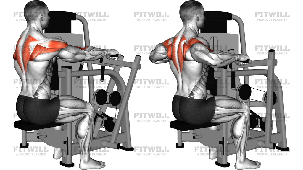 Lever Seated Delt Row