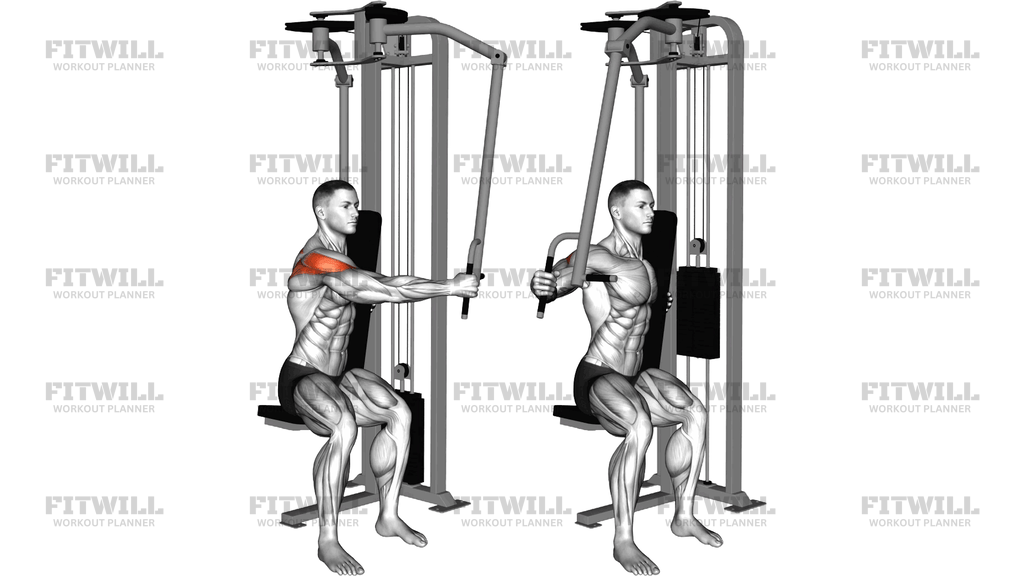Lever Side Seated Single Arm Neutral Grip Rear De