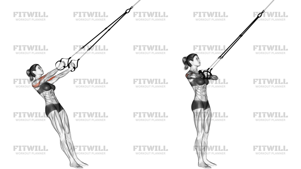 Suspension Biceps Clutch