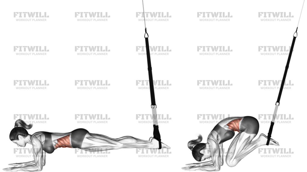 Suspension Crunch